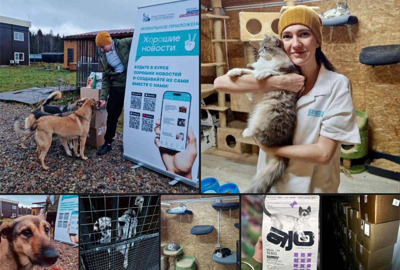 Общественная палата Дагестана поддержала всероссийскую акцию помощи животным из приютов