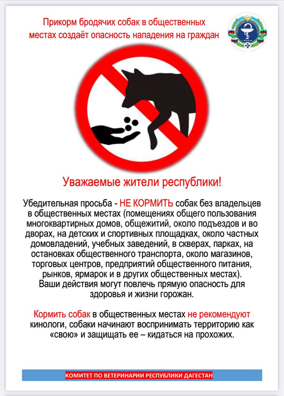 Член Общественной палаты Республики Дагестан Адельшинов Эльдар Рамильевич принял участие в работе круглого стола, организованного Комитетом Народного Собрания РД по аграрным вопросам, природопользованию, экологии и охране окружающей среды.